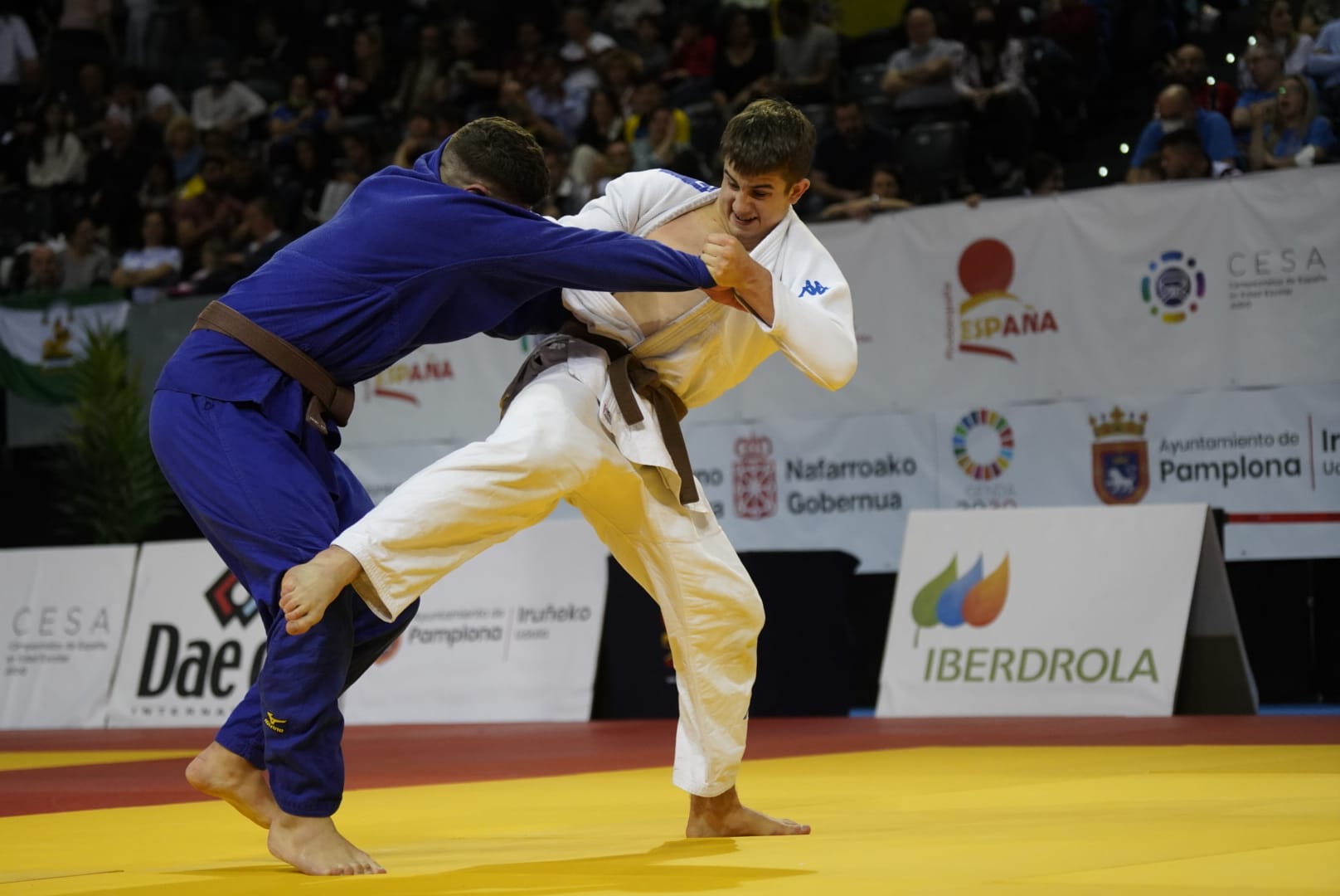 FOTOS - RESULTADOS Campeonatos de España de Judo Kata, Escolar y Veteranos en Pamplona 29, 30 abirl y 1 de mayo-22.